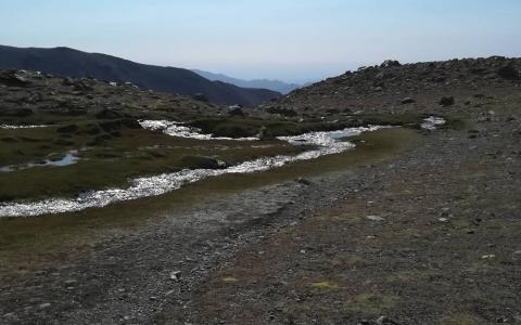 Ascenso Cerro Vallecitos | Campamento Veguitas